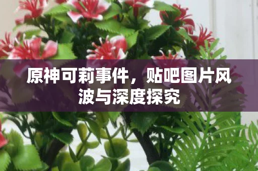 贴吧图片风波与深度探究图片