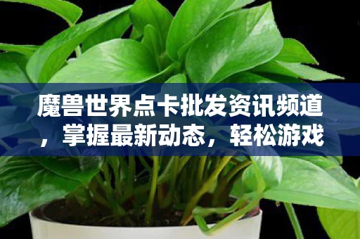 魔兽世界点卡批发资讯频道图片