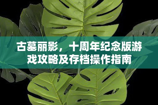 十周年纪念版游戏攻略及存档操作指南图片