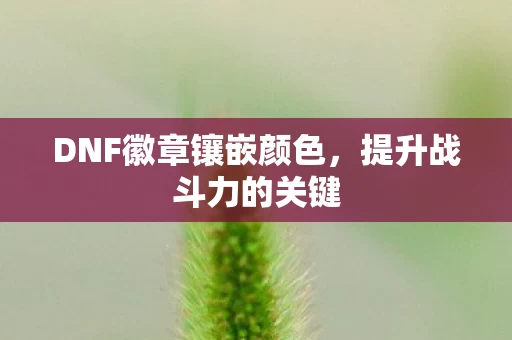 DNF徽章镶嵌颜色图片