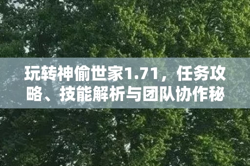 技能解析与团队协作秘籍大揭秘图片