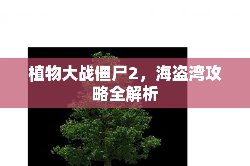 海盗湾攻略全解析图片