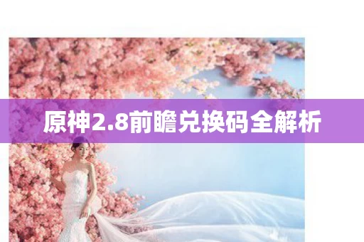 8前瞻兑换码全解析图片