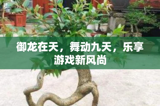 乐享游戏新风尚图片