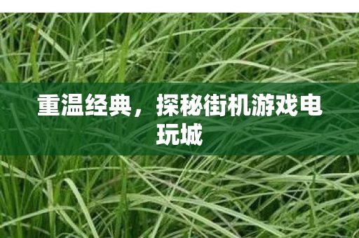探秘街机游戏电玩城图片