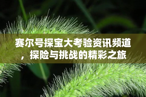 赛尔号探宝大考验资讯频道图片