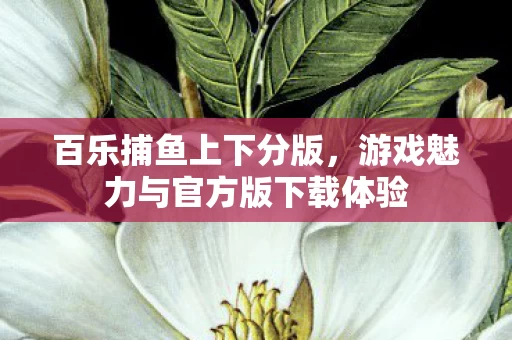 游戏魅力与官方版下载体验图片