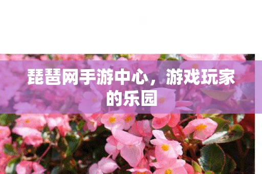 琵琶网手游中心图片