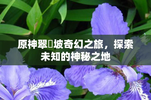 原神翠玦坡奇幻之旅图片