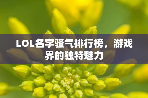 LOL名字骚气排行榜图片