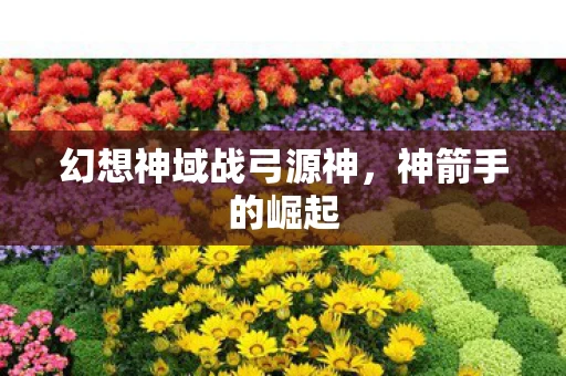 幻想神域战弓源神图片