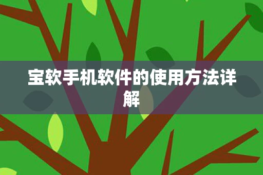 宝软手机软件的使用方法详解图片