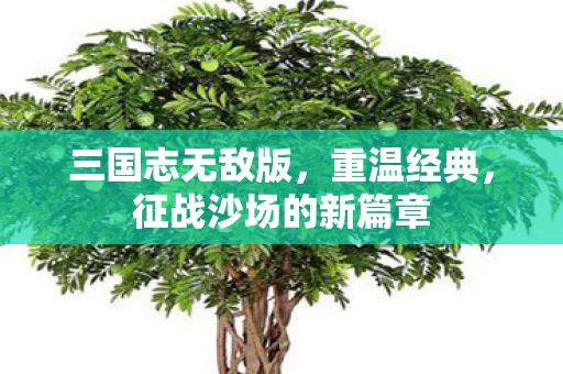 征战沙场的新篇章图片