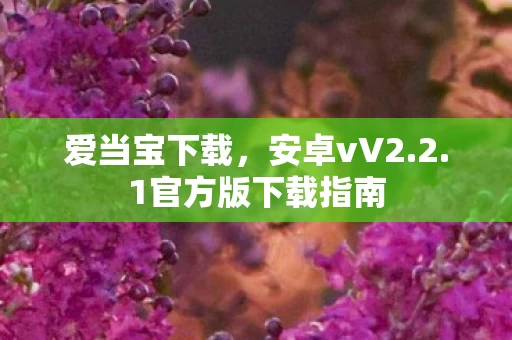 1官方版下载指南图片