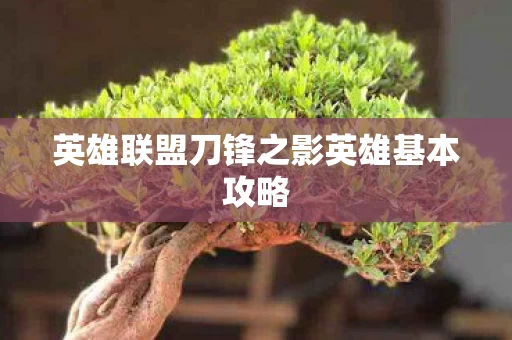 英雄联盟刀锋之影英雄基本攻略图片