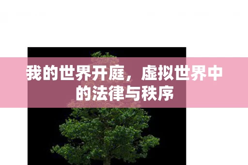 虚拟世界中的法律与秩序图片