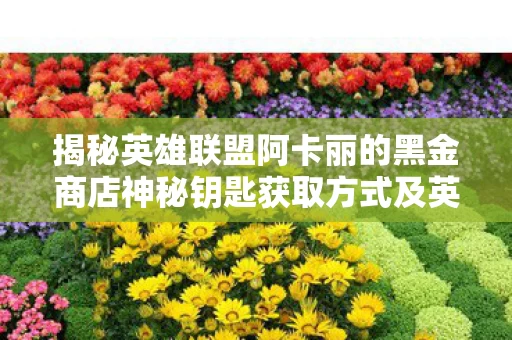 揭秘英雄联盟阿卡丽的黑金商店神秘钥匙获取方式及英雄攻略图片