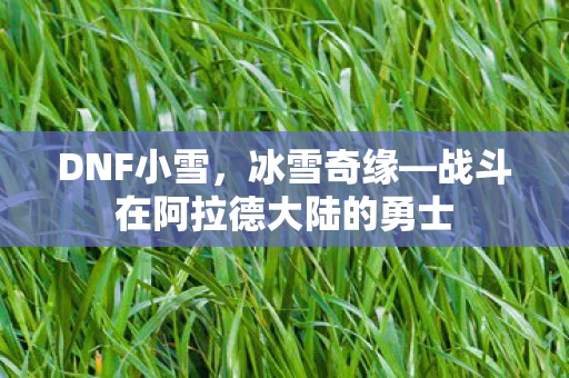 战斗在阿拉德大陆的勇士图片