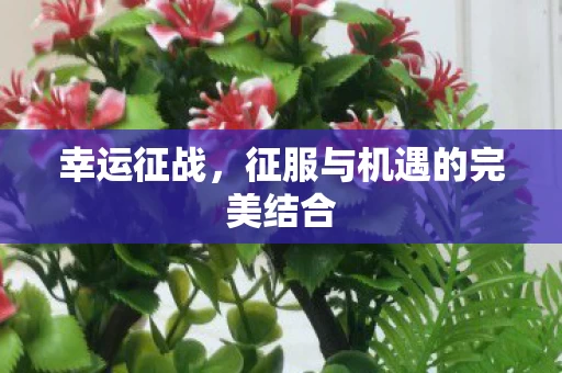 征服与机遇的完美结合图片