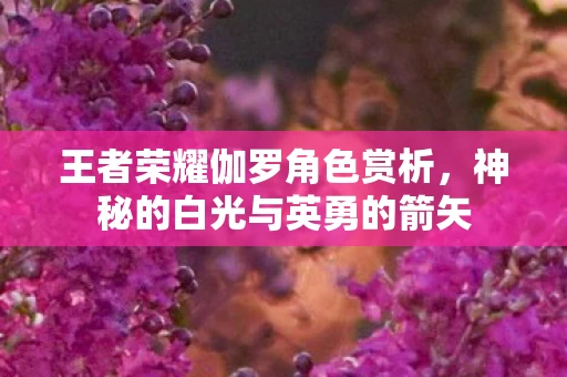神秘的白光与英勇的箭矢图片