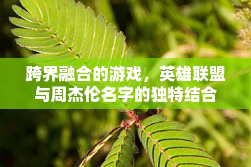 英雄联盟与周杰伦名字的独特结合图片