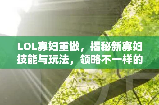 揭秘新寡妇技能与玩法图片