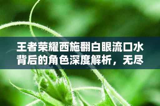 王者荣耀西施翻白眼流口水背后的角色深度解析图片