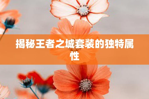 揭秘王者之城套装的独特属性图片