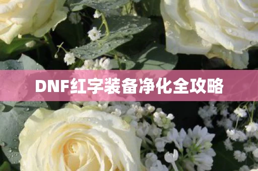 DNF红字装备净化全攻略图片