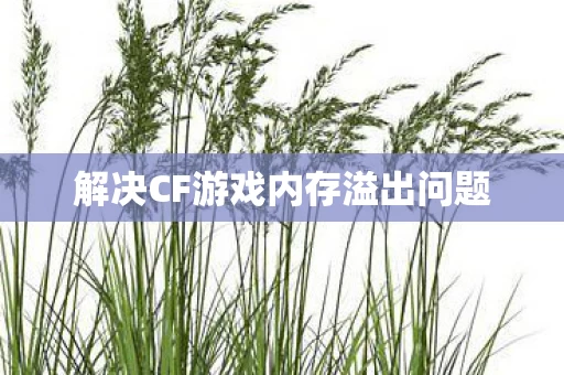 解决CF游戏内存溢出问题图片