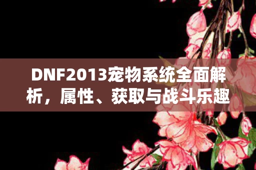 DNF2013宠物系统全面解析图片