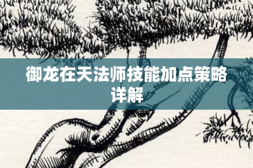 御龙在天法师技能加点策略详解图片