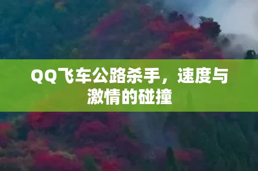 QQ飞车公路杀手图片