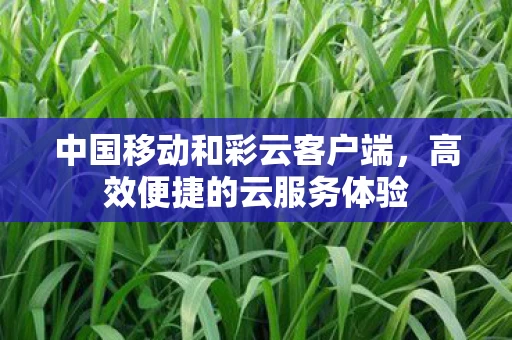 中国移动和彩云客户端图片