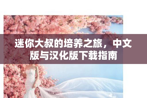 中文版与汉化版下载指南图片