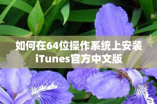 如何在64位操作系统上安装iTunes官方中文版图片