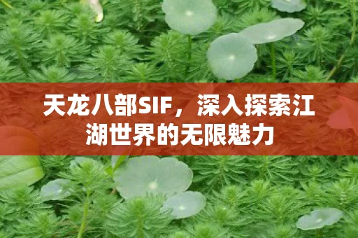 深入探索江湖世界的无限魅力图片