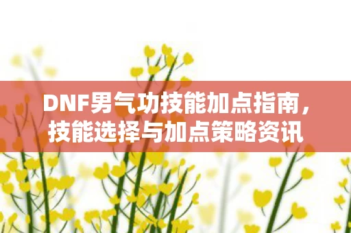 DNF男气功技能加点指南图片