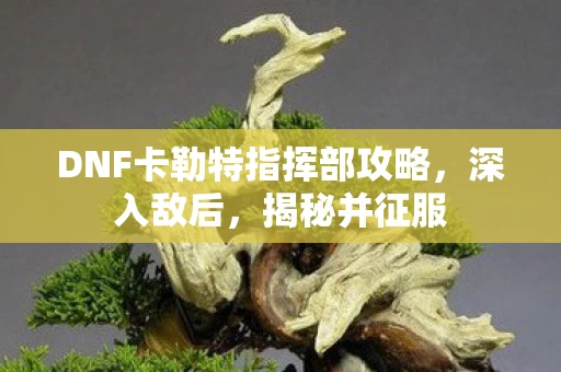 DNF卡勒特指挥部攻略图片