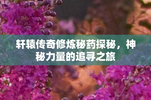 轩辕传奇修炼秘药探秘图片