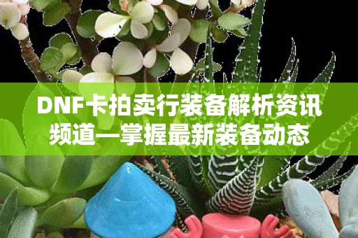 DNF卡拍卖行装备解析资讯频道图片