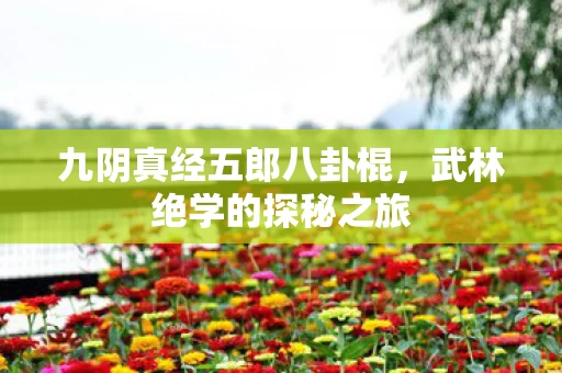 九阴真经五郎八卦棍图片