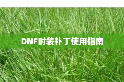 DNF时装补丁使用指南图片