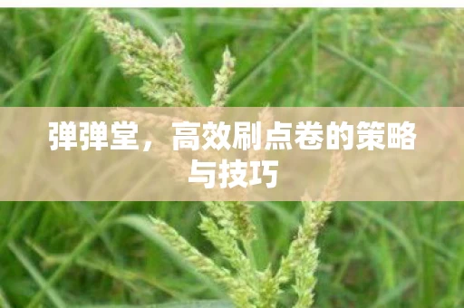 高效刷点卷的策略与技巧图片