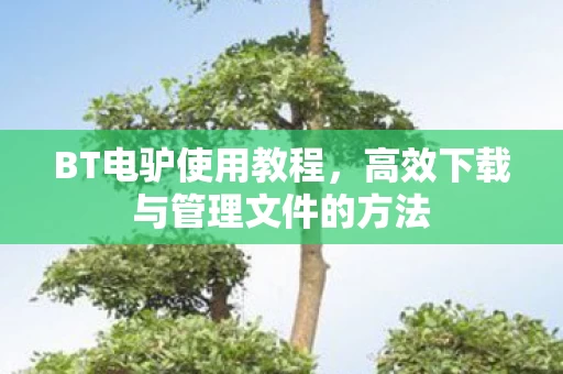 高效下载与管理文件的方法图片
