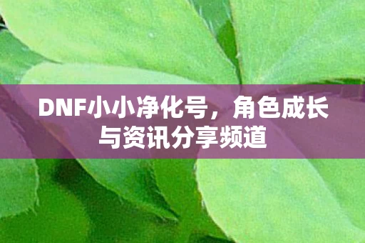 角色成长与资讯分享频道图片