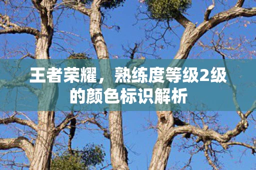 熟练度等级2级的颜色标识解析图片