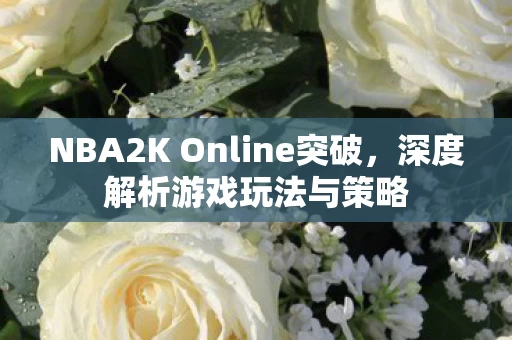 NBA2K Online突破图片