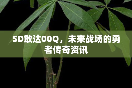 未来战场的勇者传奇资讯图片