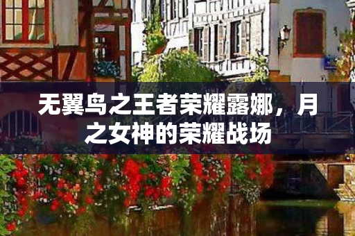 无翼鸟之王者荣耀露娜图片